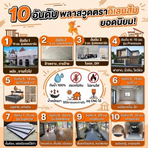 10 อันดับ พลาสวูดตรากิเลนส้ม ที่นิยมใช้งานมากที่สุด ครบทุกเกรด ทุกความหนา