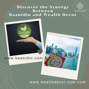 Discover the Synergy Between Baanidin and Wealth Decor