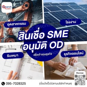 วงเงินสำรอง: เกราะป้องกันทางการเงินของธุรกิจยุคใหม่