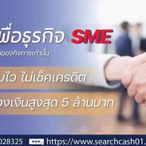 ปล่อยสินเชื่อเงินกู้ สำหรับ ธุรกิจ & SME