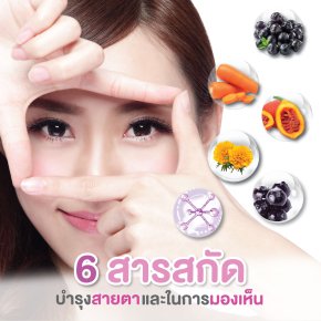 6 สารสกัด บำรุงสายตา