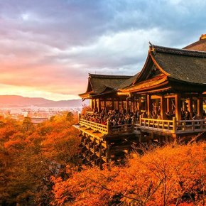 6 steps การไหว้พระที่ศาลเจ้าญี่ปุ่น   