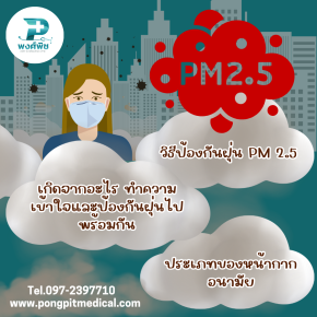 วิธีป้องกันฝุ่น PM 2.5