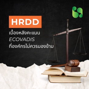 ทำไมองค์กรที่อยากได้รับการยอมรับอย่าง EcoVadis จึงหลีกเลี่ยง HRDD ไม่ได้