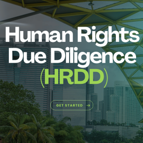 Human Rights Due Diligence (HRDD) Advisory Services