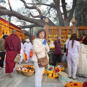ต้นพระศรีมหาโพธิ อินเดีย