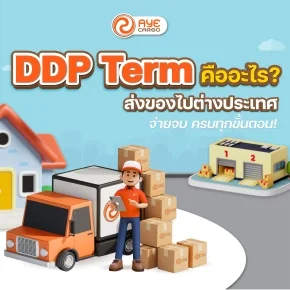 DDP Term