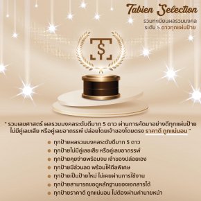 เลือกซื้อทะเบียนทั้งทีทำไมต้อง TabienSelection