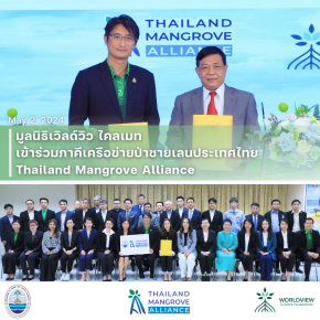 WCF ร่วมภาคีเครือข่ายป่าชายเลนประเทศไทย Thailand Mangrove Alliance