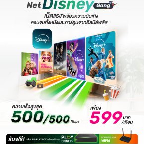 แพ็กเกจ Net Disney Gang เน็ตแรงพร้อมความบันเทิง