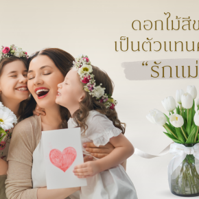 ดอกไม้สีขาวเป็นตัวแทนคำว่า รักแม่