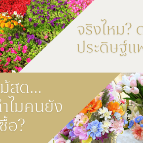 จริงไหม? ดอกไม้ประดิษฐ์แพงกว่าดอกไม้สด แล้วทำไมคนยังเลือกซื้อ?