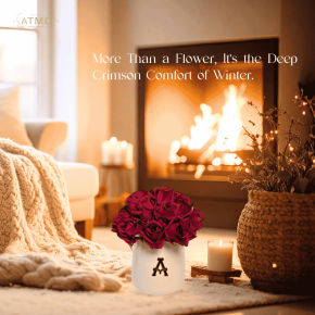 Red Rose "ผ้าห่มของฤดูหนาว" ที่มอบความอบอุ่นให้หัวใจ