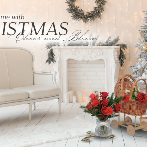 Fill your home with CHRISTMAS Cheer and Bloom