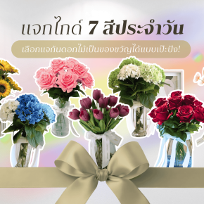 แก้ปัญหาเลือกไม่ถูก! แจกไกด์ '7 สีประจำวัน' ให้คุณเลือกแจกันดอกไม้เป็นของขวัญได้แบบเป๊ะปัง!