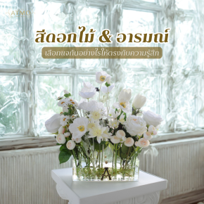 สีของดอกไม้กับอารมณ์ : เลือกแจกันอย่างไรให้ตรงกับความรู้สึก