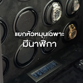 Why We Build Our Own Watch Winders  And How We Deliver Better Quality at a Better Price.(copy)