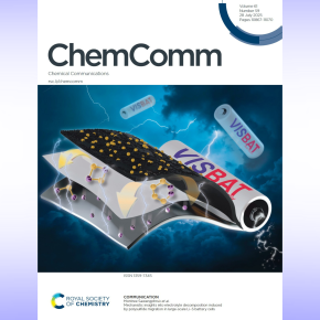 Congratulations to Nurulsafeelanaria Benwannamas and our VISBAT Team! 