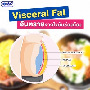 Visceral Fat อันตรายจากไขมันช่องท้อง