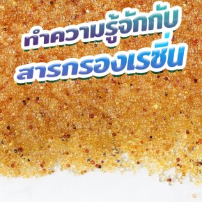 สารกรองเรซิ่น (Resin) คืออะไร มีข้อดีอย่างไร