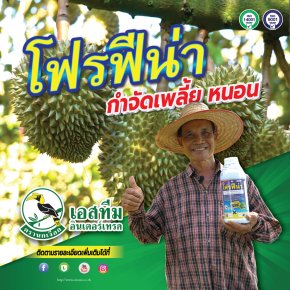 หมดห่วงเรื่องเพลี้ย หนอนในทุเรียน ใช้โฟรฟีน่า
