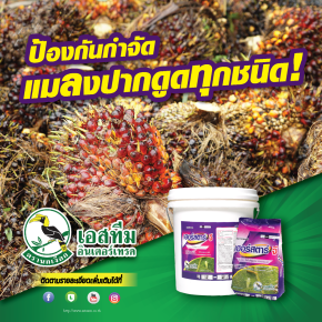 เฮอร์สตาร์ จี ยาเม็ดทราย  ป้องกันกำจัดแมลงศัตรูพืชในปาล์มน้ำมัน