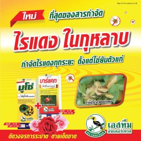 ไรศัตรูพืชตัวร้าย ป้องกันกำจัดด้วย มูโซ่ + บาร์แคท (ปลอดภัยต่อดอก)