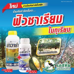 เอสโตบิ้น ➕ ยาวาร่า  2 พลังบวก ป้องกันกำจัดเชื้อราฟิวซาเรียมในทุเรียน