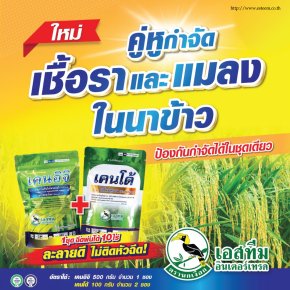 คู่หูกำจัดเชื้อราและแมลงในนาข้าว เคนอิจิ + เคนโด้