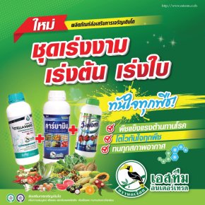 ชุดเร่งงาม เร่งต้น เร่งใบ ทันใจในทุกพืช