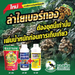 ชุดเพิ่มน้ำหนักก่อนเก็บเกี่ยว ลำไยเบอร์ทอง