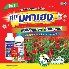 ชุดมหาเฮง พริกติดลูกดก เก็บผลผลิตพริกได้นาน คาร์บามิน+กิ๊ก+สเตลล่า มาริส