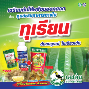 ชุดสะสมอาหาร เตรียมพร้อมการออกดอก ไมโครแม็กซ์+คาร์บามิน+ปุ๋ยเอสทีม (แดง)