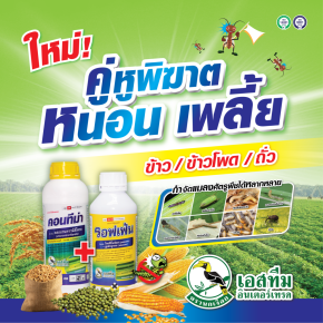 กำจัดหนอน เพลี้ย ในข้าว ข้าวโพด และถั่ว คอนทีม่า + รอฟเฟ่น