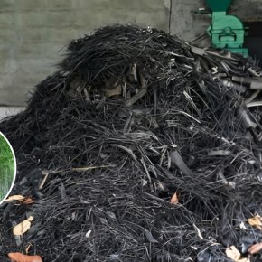 ไผ่ แหล่งผลิตเชื้อเพลิงชั้นดี ใช้ทดแทนก๊าซ LPG ลดรายจ่าย ลดการนำเข้าพลังงาน