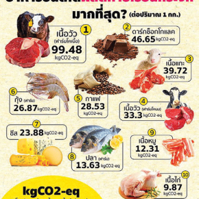 เรียนรู้อย่างเข้าใจ Carbon Credit และ Carbon Footprint เพื่อโลก-เพื่อเรา