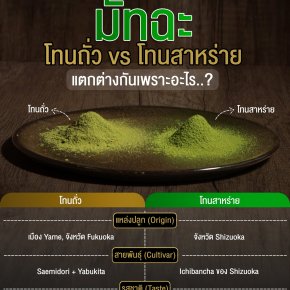 มัทฉะโทนถั่ว vs โทนสาหร่าย ต่างกันอย่างไร?