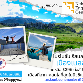 เรียนภาษาที่เนลสัน เมืองอากาศสดใสที่สุดในนิวซีแลนด์ 