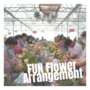 FUN Flower Arrangement - Fun Garden 2024