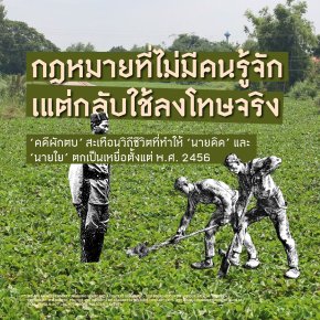 กฎหมายที่ไม่มีคนรู้จัก แต่กลับใช้ลงโทษจริง | คดีผักตบชวา