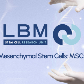 Mesenchymal Stem Cells: MSCs คืออะไร ? 