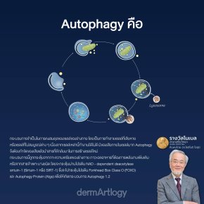 Reset ผิวระดับเซลล์! เจาะลึก 'Autophagy' ความลับรางวัลโนเบลที่ช่วย 'รีไซเคิลเซลล์เก่า' ให้หน้าเด็กกว่าเดิม