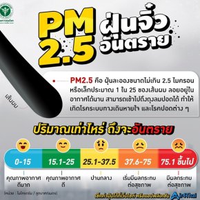 PM2.5 /PM10 ทำไมจึงอันตรายต่อสุขภาพมนุษย์ และสัตว์ 