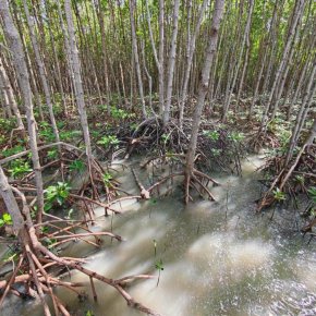 มูลนิธิแม่ฟ้าหลวงฯ เปิดเวที MFLF Sustainability Forum 2026 ดัน Nature Positive จากแนวคิดสู่การปฏิบัติ ชู ทุนธรรมชาติ เป็นรากฐานเศรษฐกิจใหม่ เชื่อมโยงรัฐ-ธุรกิจ-การเงิน-ชุมชน เติบโตไปด้วยกัน
