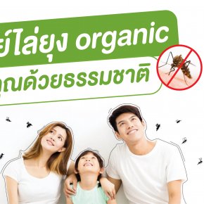 organic mosquito repellent spray take care of you with nature