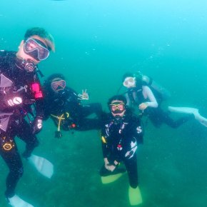 Discover the Thrill of Scuba Diving with a Try Dive