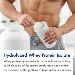 Hydrolyzed-Whey-Protein-Isolate