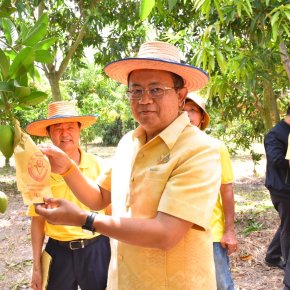 "พ่อเมืองฯ"นำคณะสื่อมวลชนร่วมกิจกรรม "ผู้ว่าพาชมสวน"ชวนบริโภคสินค้าเกษตรแปดริ้ว