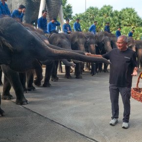 "สวนนงนุชพัทยา"ขึ้นชั้น ปางช้างมาตรฐานแห่งแรกของไทย