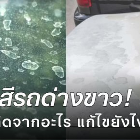 สีรถด่างขาว เกิดจากอะไร แก้ไขยังไง